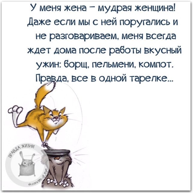 Картинки правда жизни прикольные